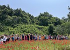 20250529_지역자원활용 훈련 프로그램